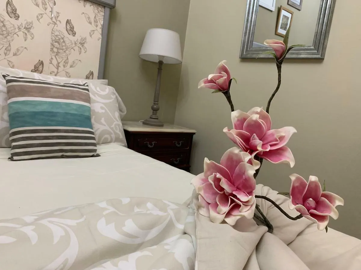 Dream Flat Apartment Santa Cruz de Tenerife
